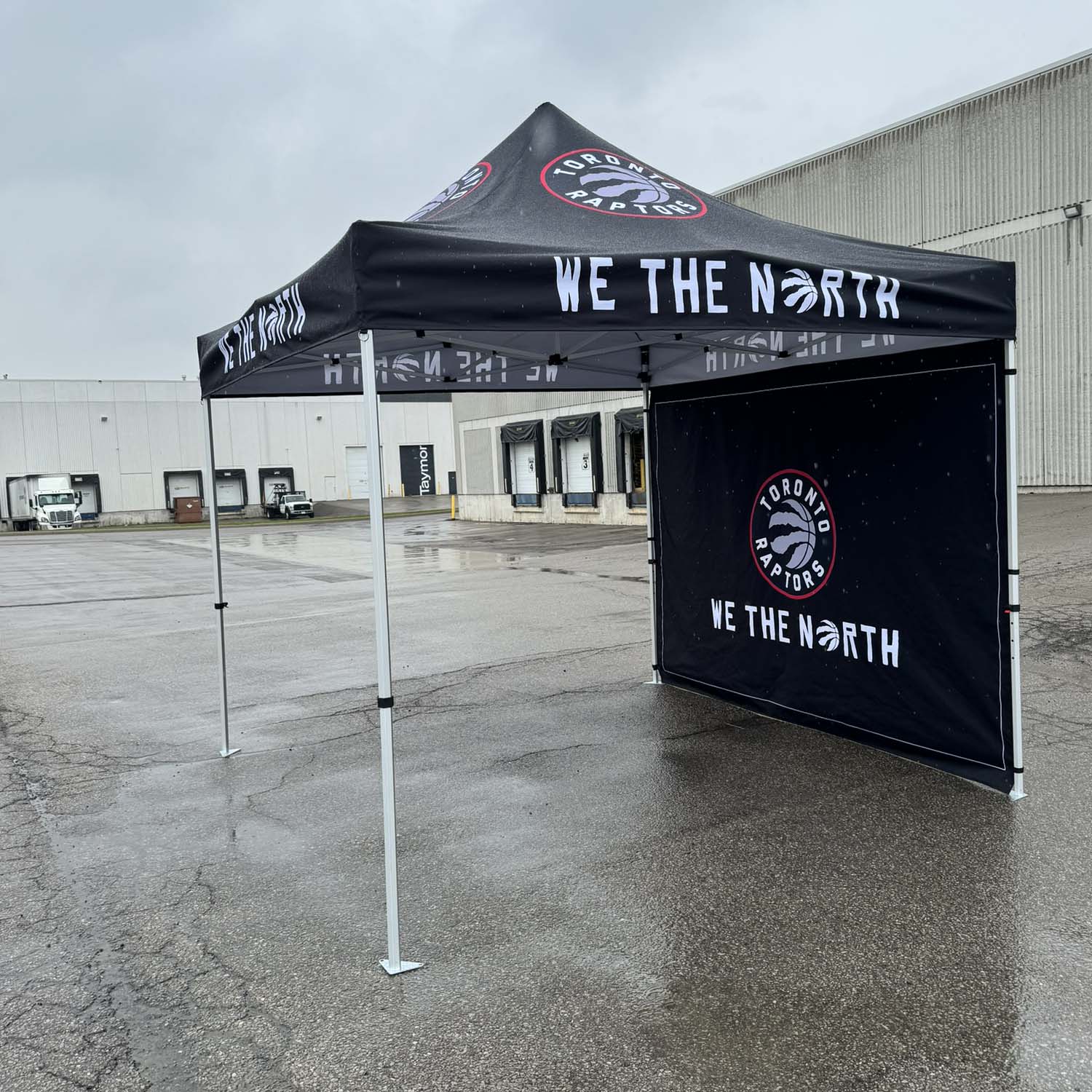 24 Hr Express Ship - Full Back Wall for 10x10 Tent Kit, Sublimated, Single Sided Print 21