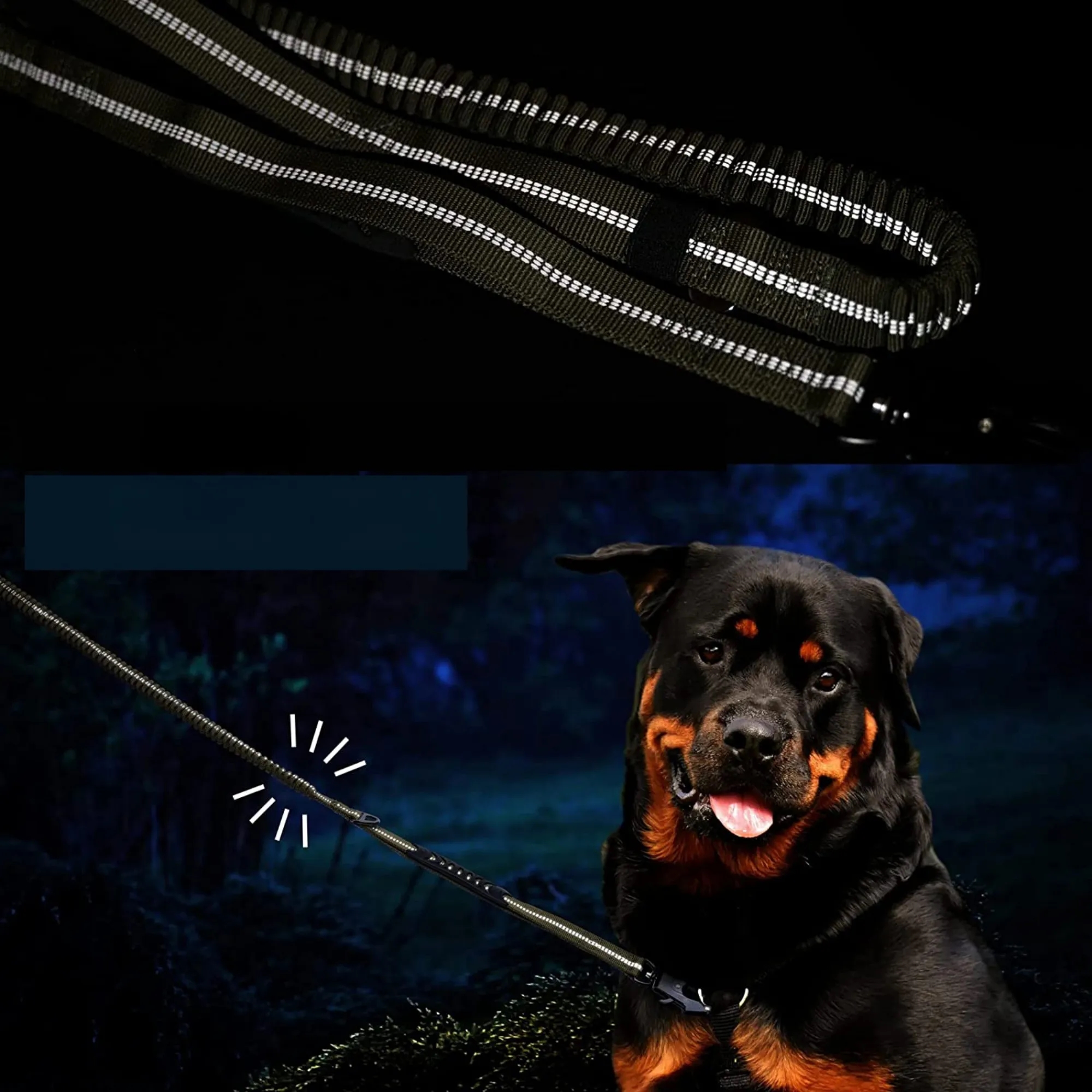 Large dog explosion-proof multi-functional tactical leash 5