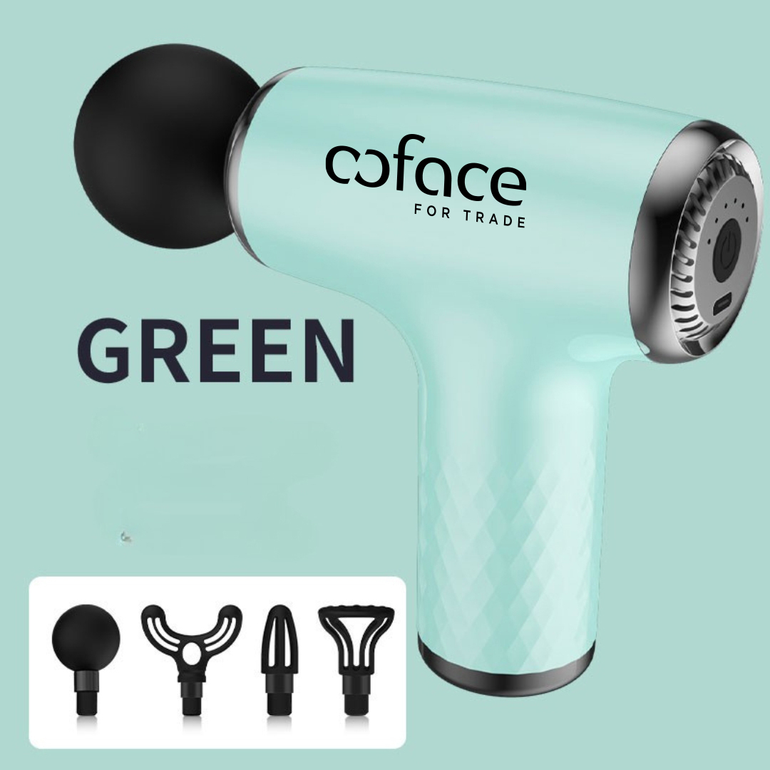 Verdure Massage Gun with 6 Speeds, Dual Batteries, and 4 Attachments in a Zip Bag 8