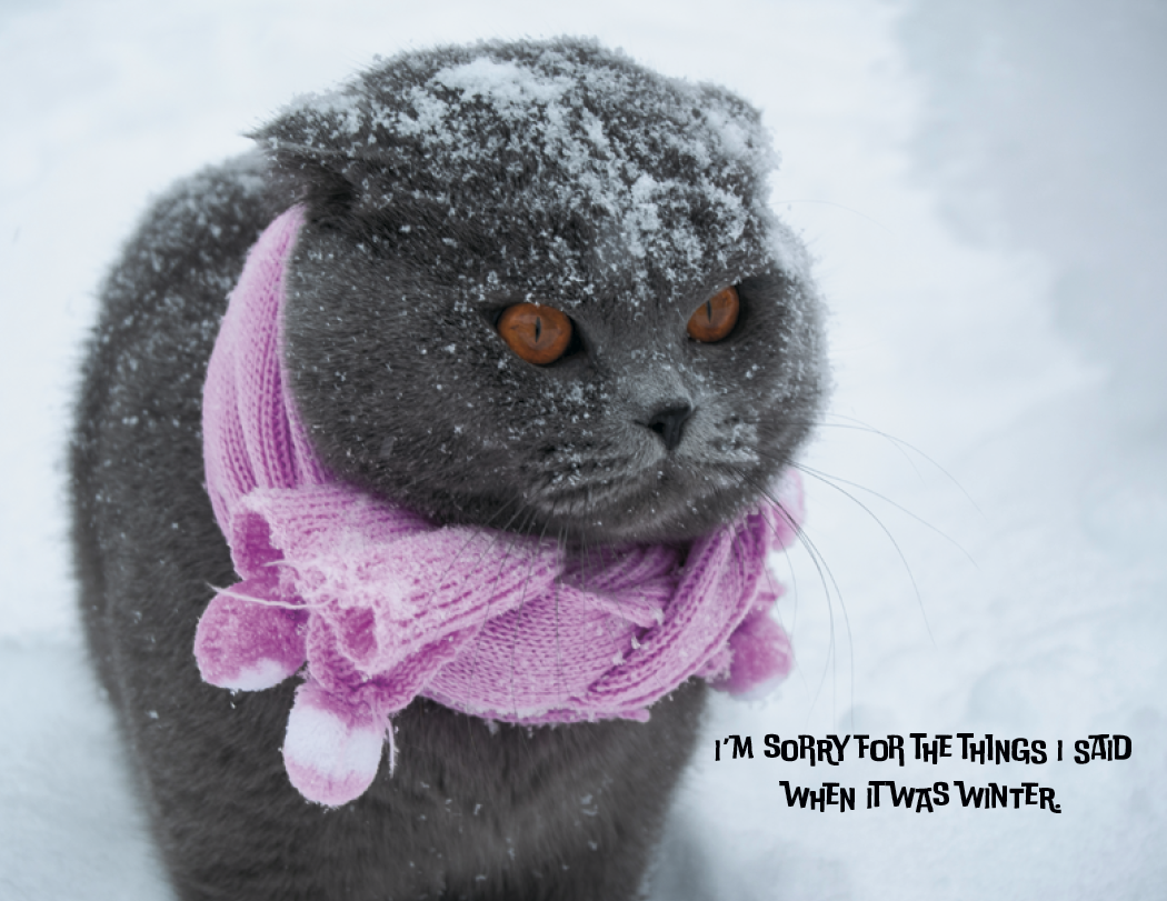 Good Value™ Pets with Attitude - Spiral Calendar 21