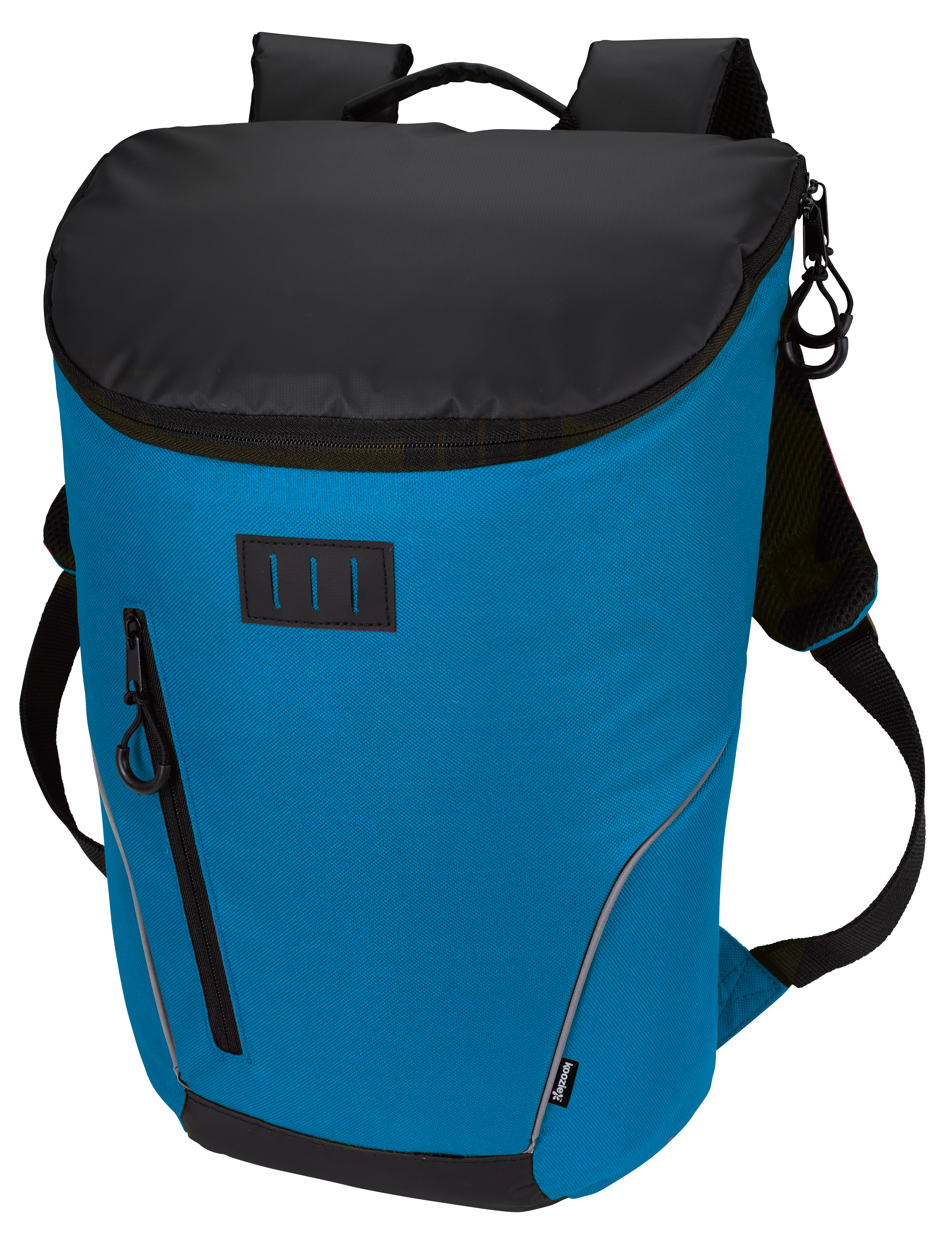 Rogue Cooler Backpack
