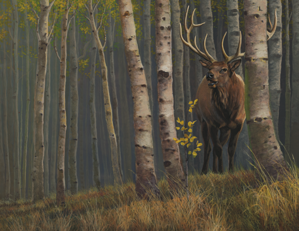 HotLine® Products Wildlife Collection Appointment Calendar - Stapled 14