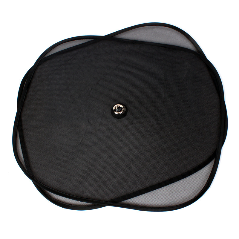 Car Side Window Visor 2