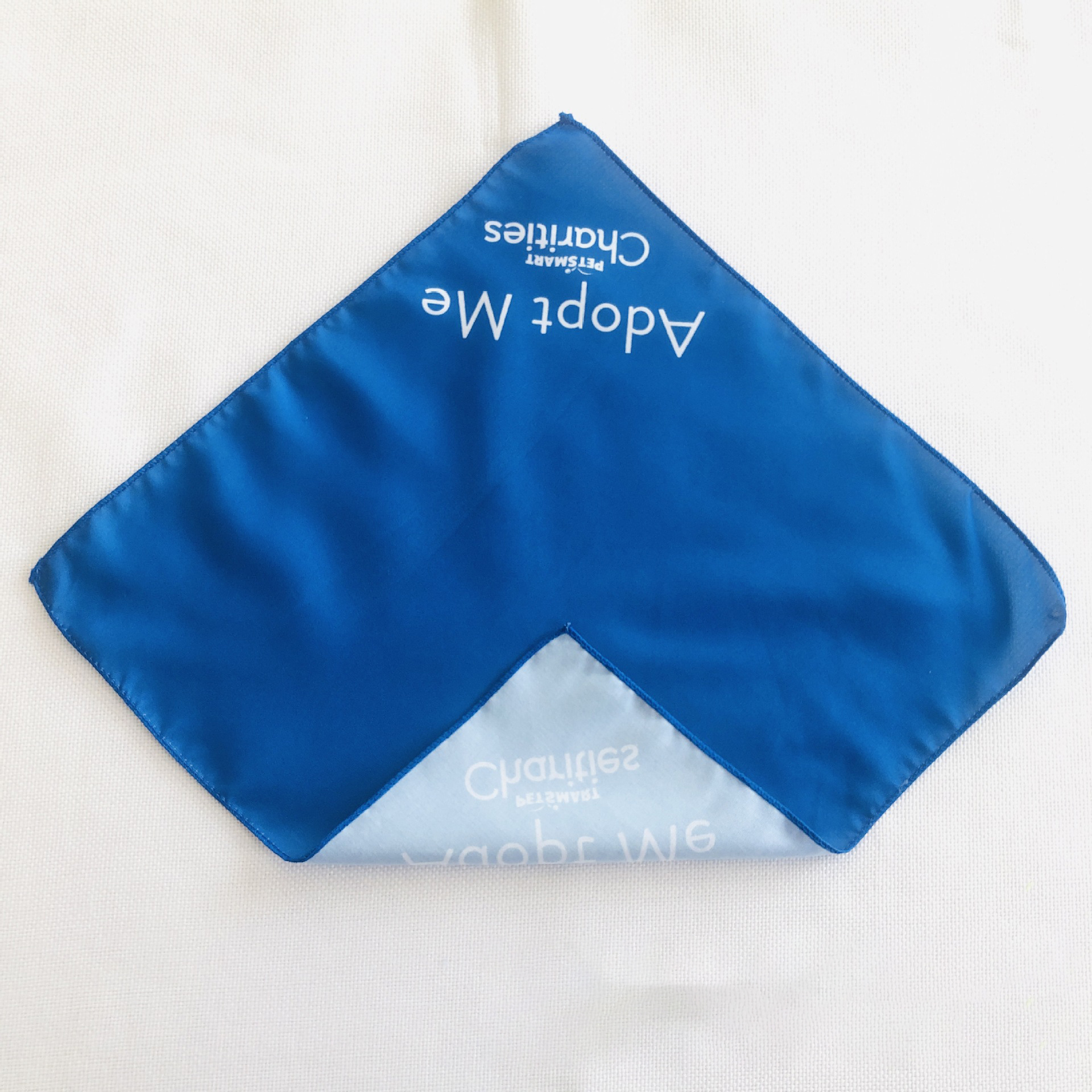 Custom Bandanna 2