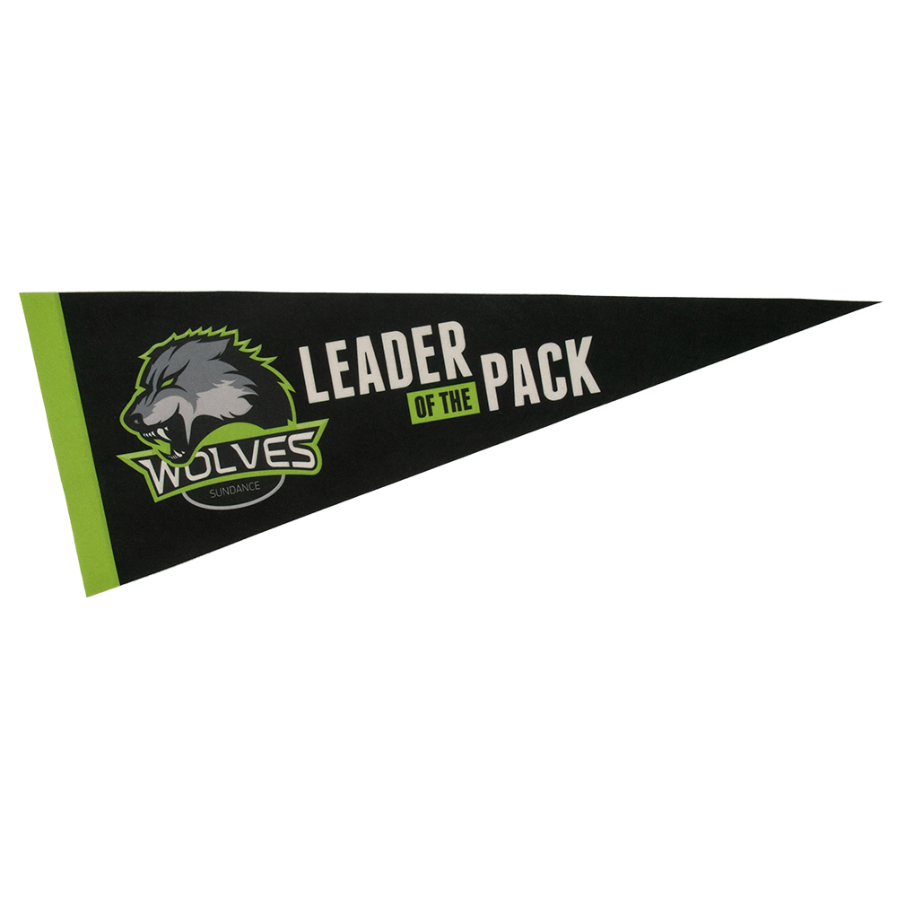 9" x 24" Full Color Felt Pennant, No Strip 5
