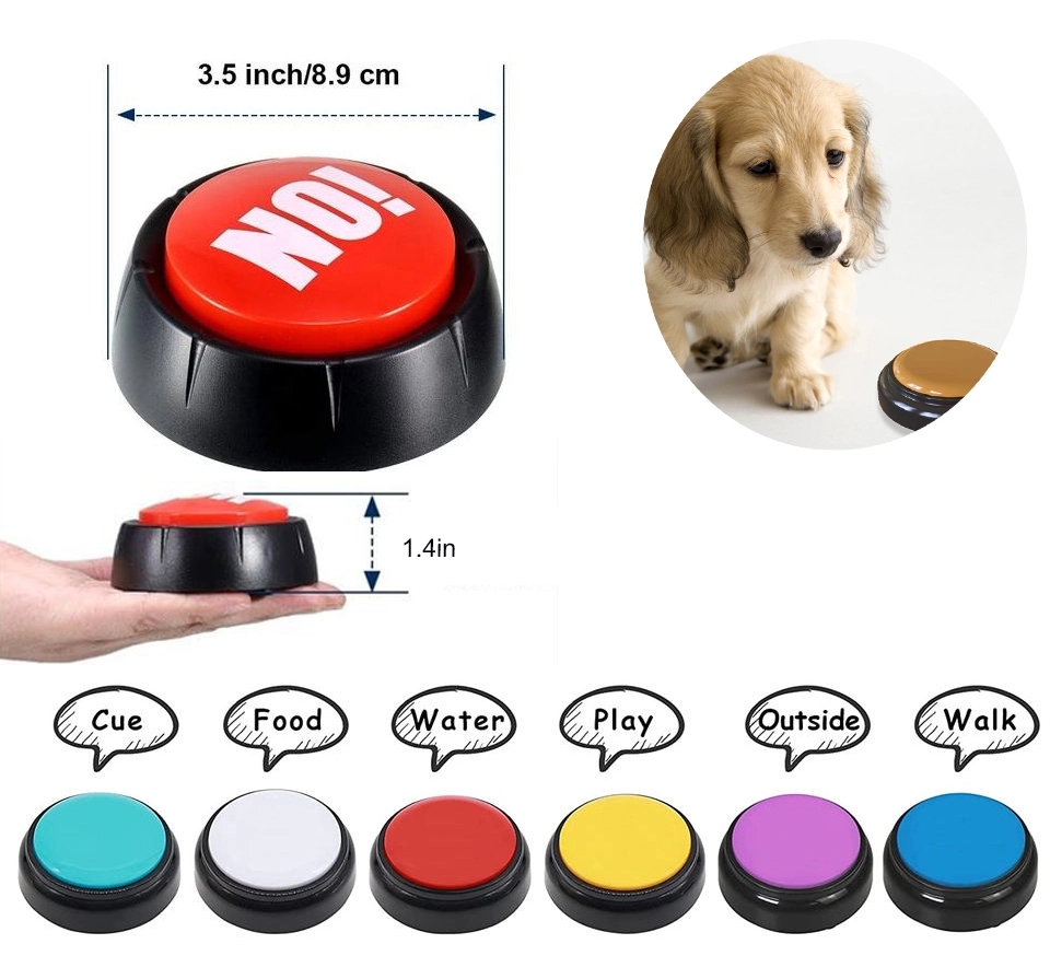 Easy Talking Button 4