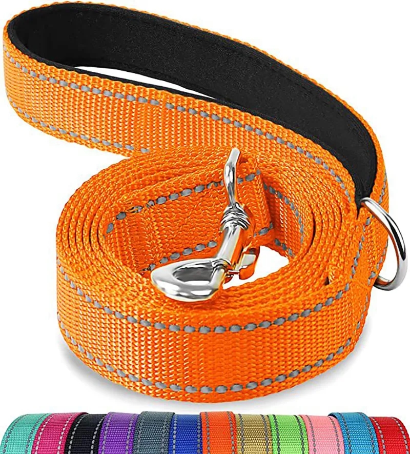 Dog Leash 1