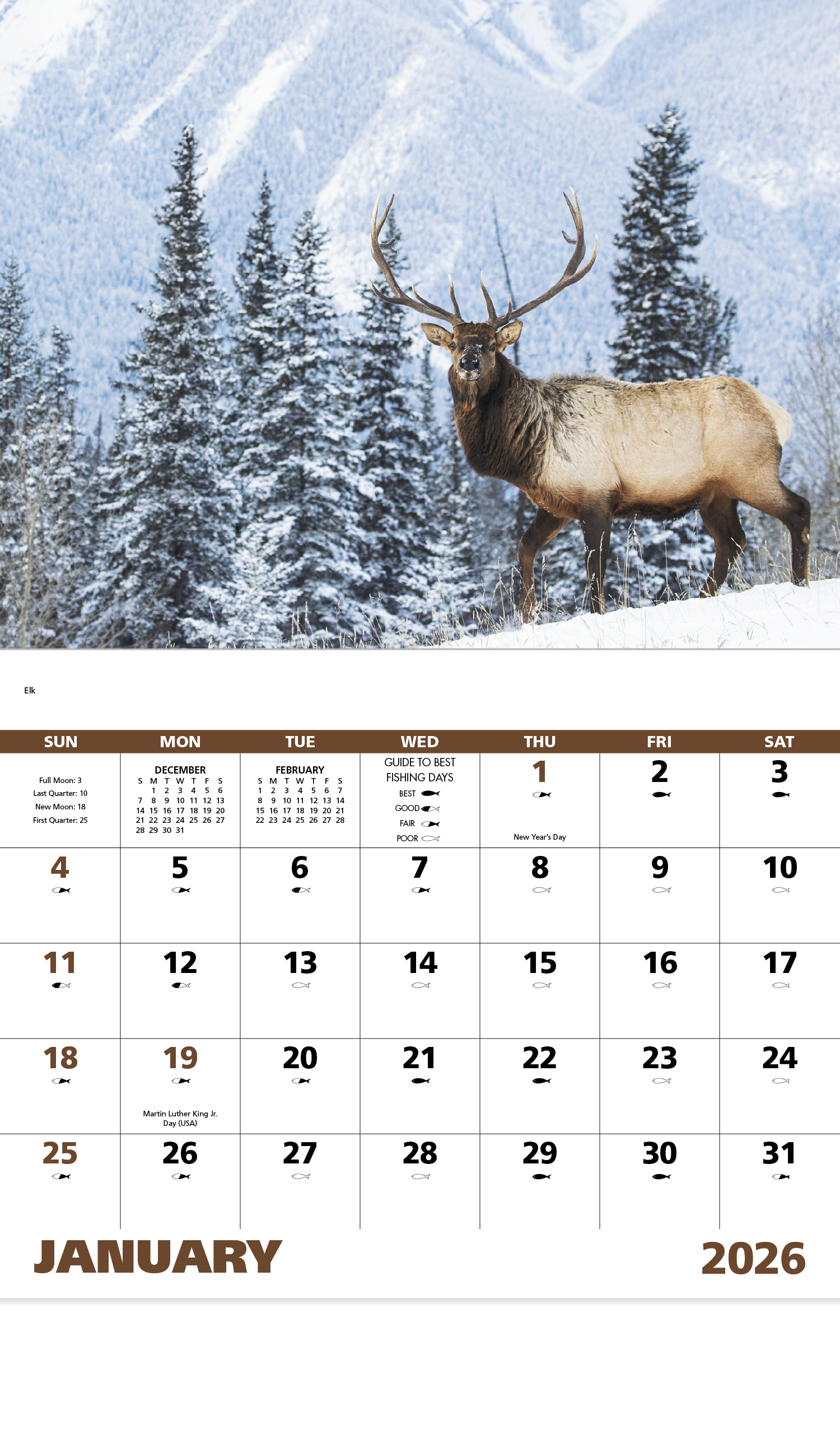 Good Value™ Wildlife Portraits - Stapled Calendar 10