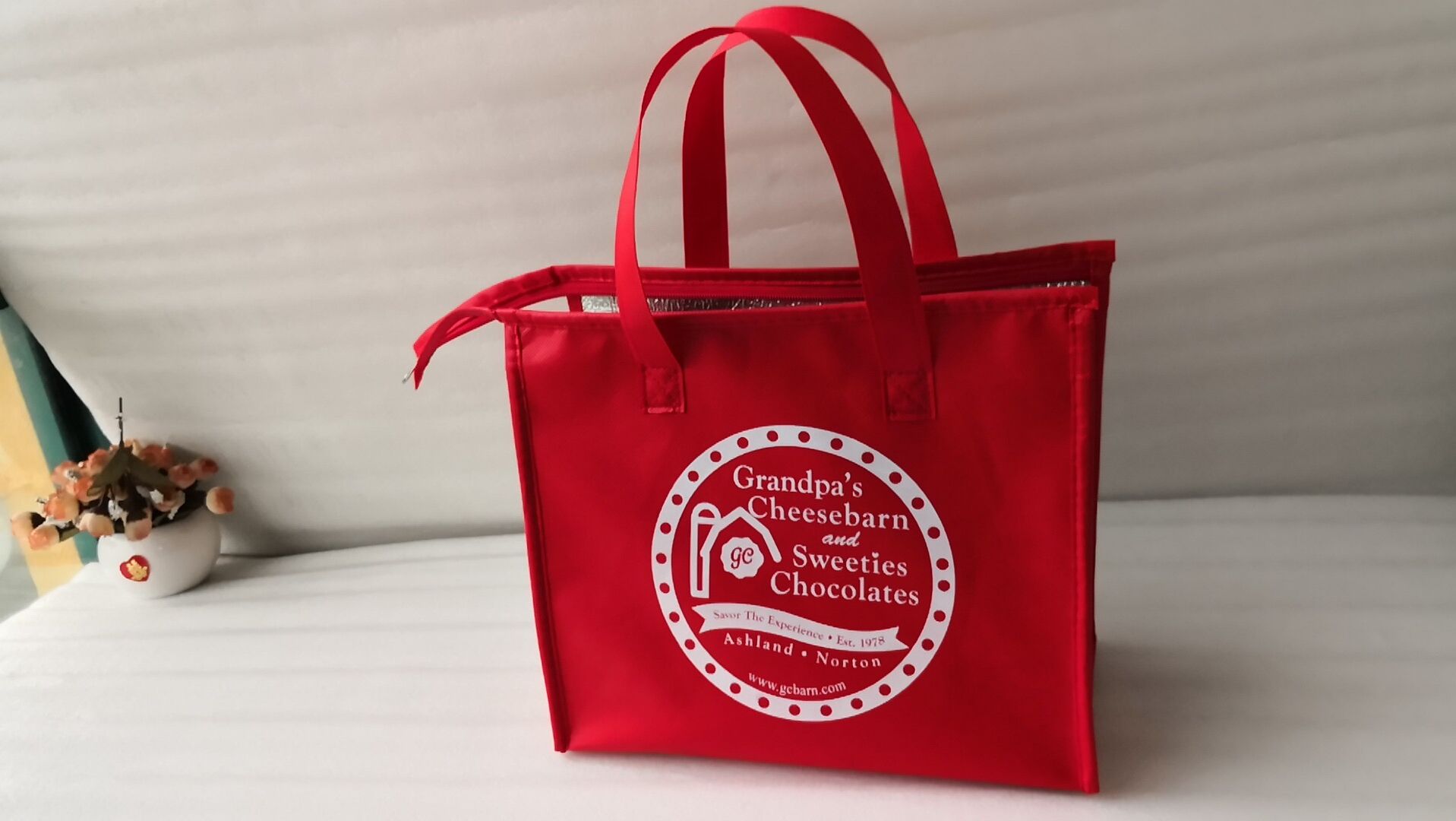 Non Woven Cooler Bag 2