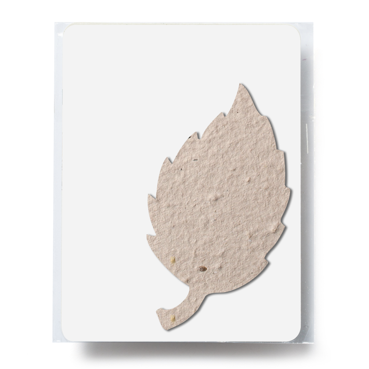Bloomin® Aspen Shaped Plantable Gift Pack 1