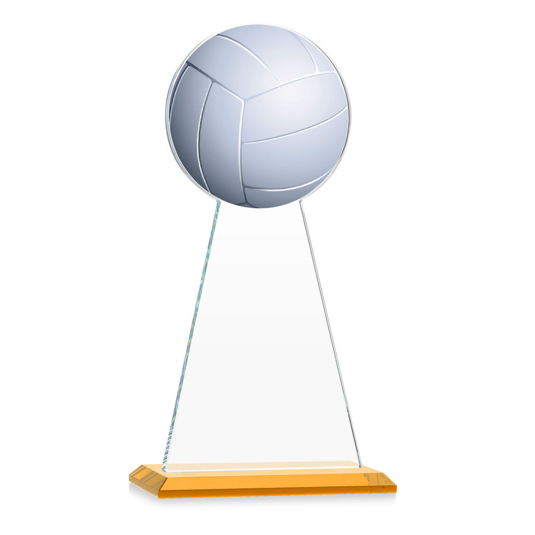 Edenwood Volleyball VividPrint™ Award - Amber 6