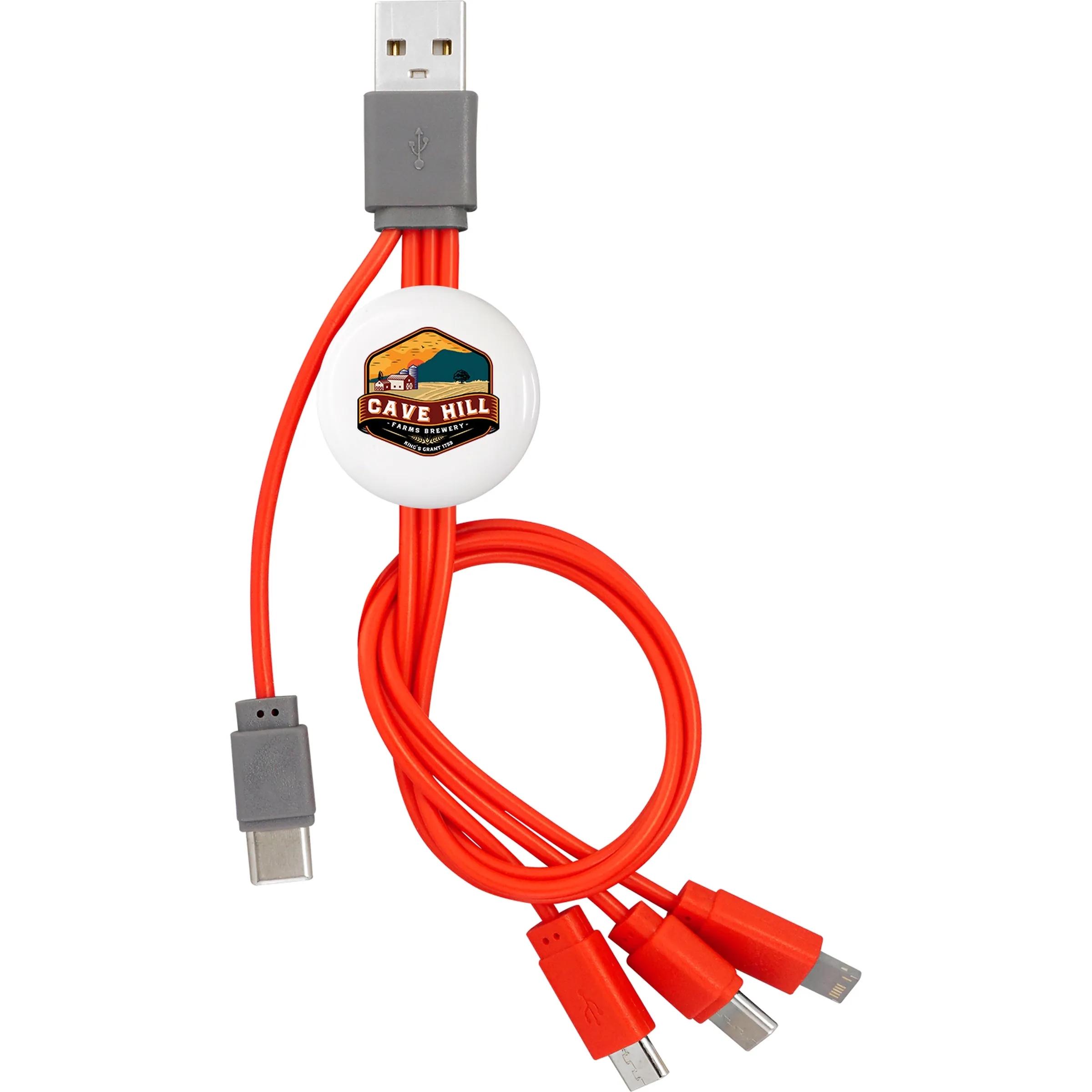 SNAP DUAL INPUT TYPE C CABLE 18