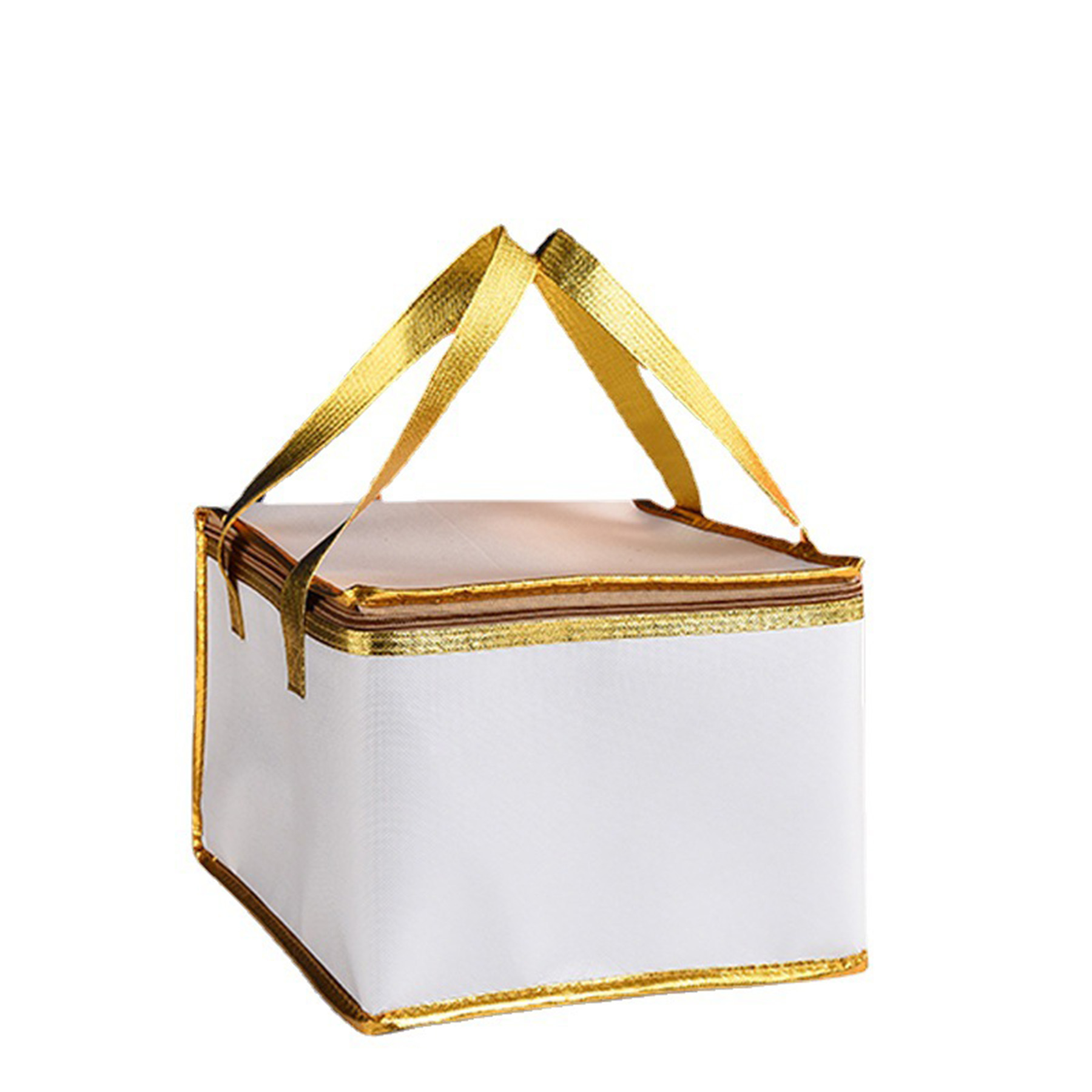 Insulated Thermal Cooler Bag 1