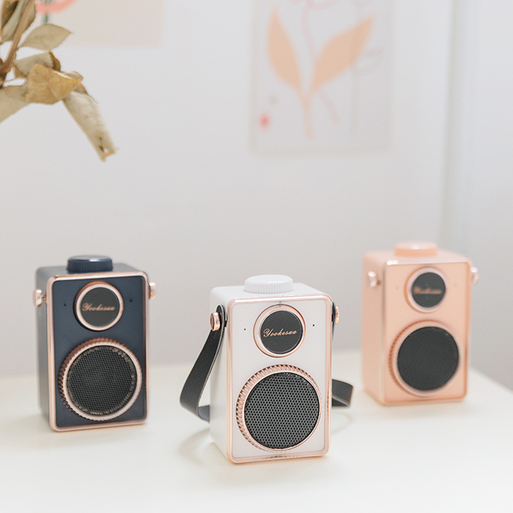 Portable Wireless Speaker 1