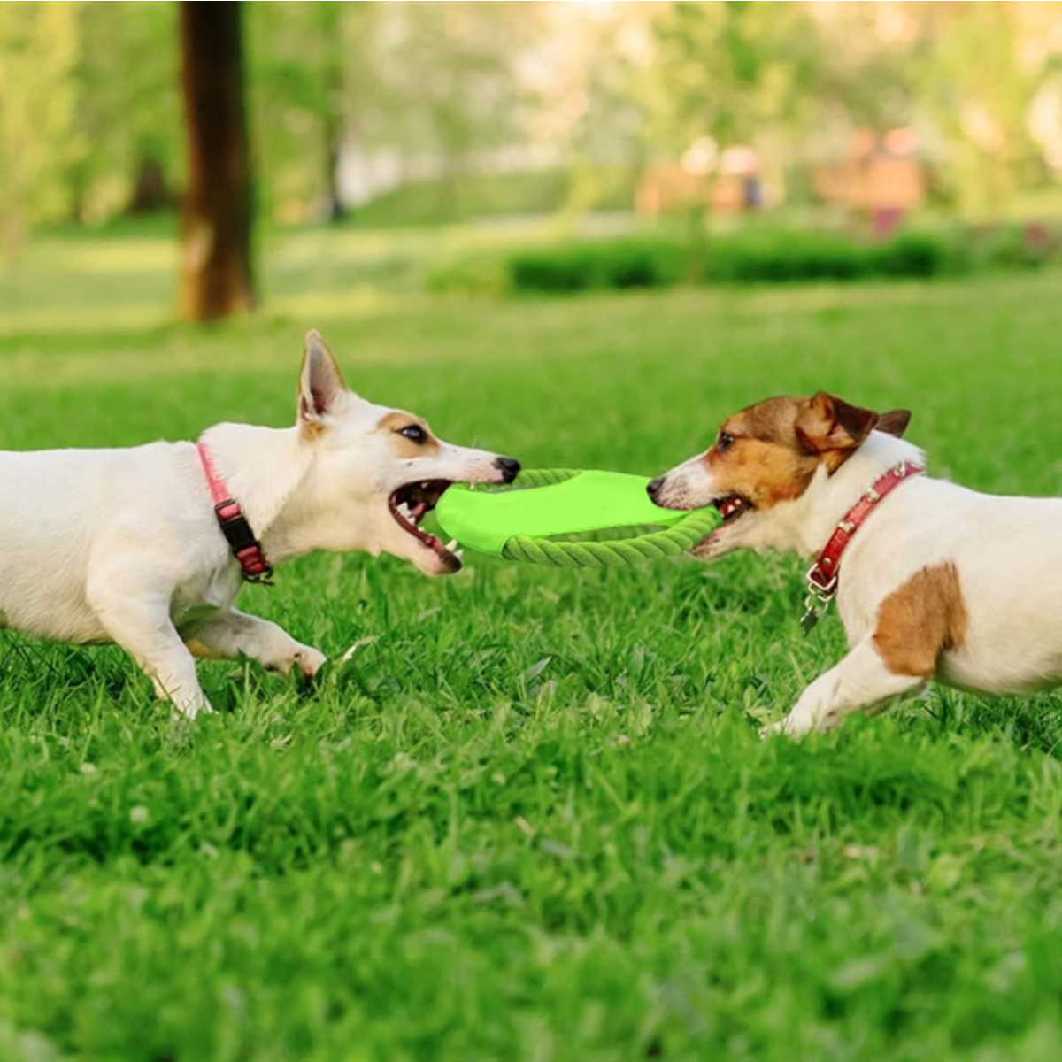 Rope Ring Dog Frisbee Toy with Durable Fabric 5