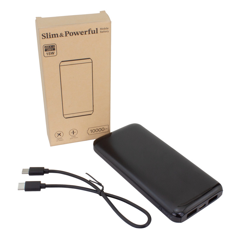 10,000 mAh Power Bank 2