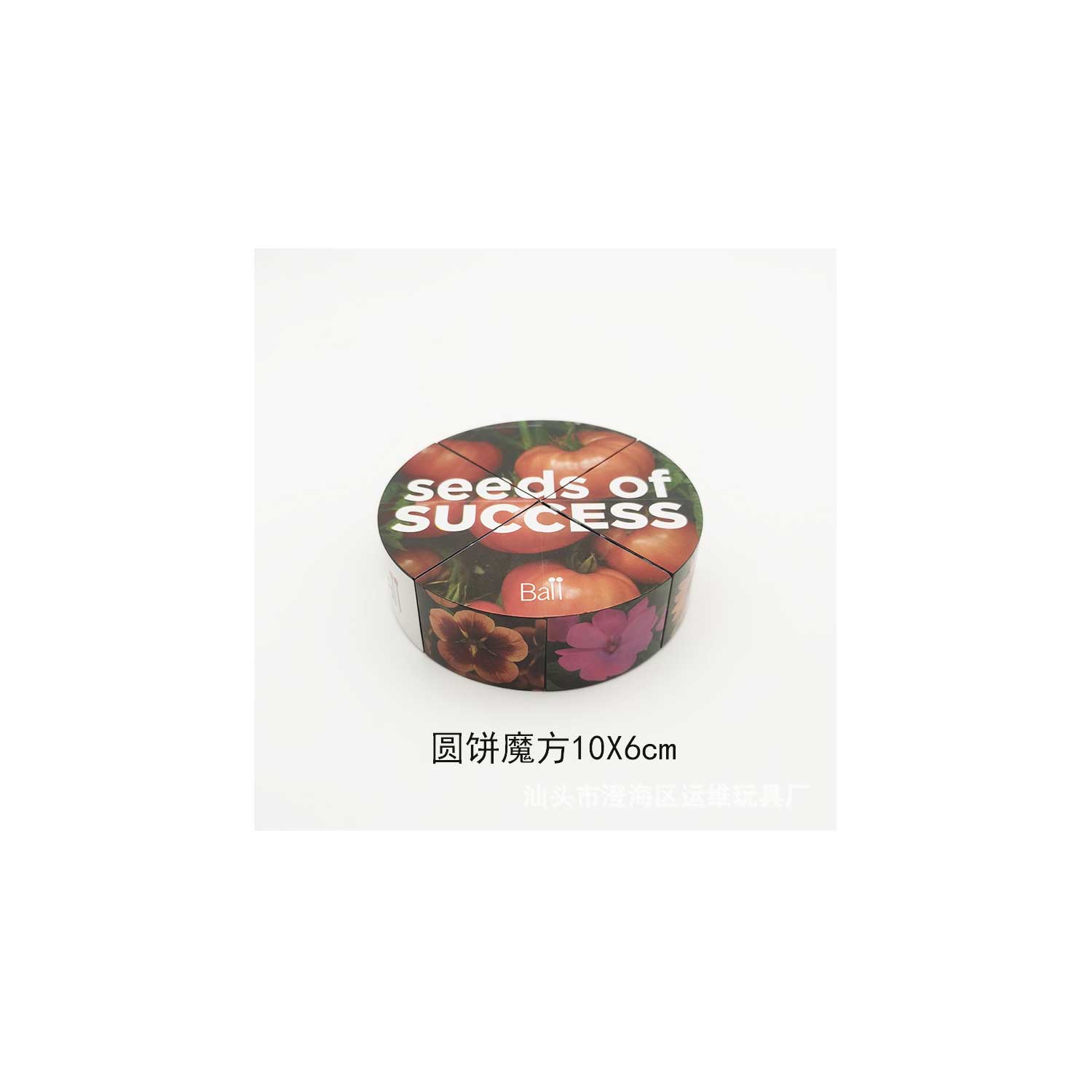 Custom Logo Rubik's Cube Stickers 8