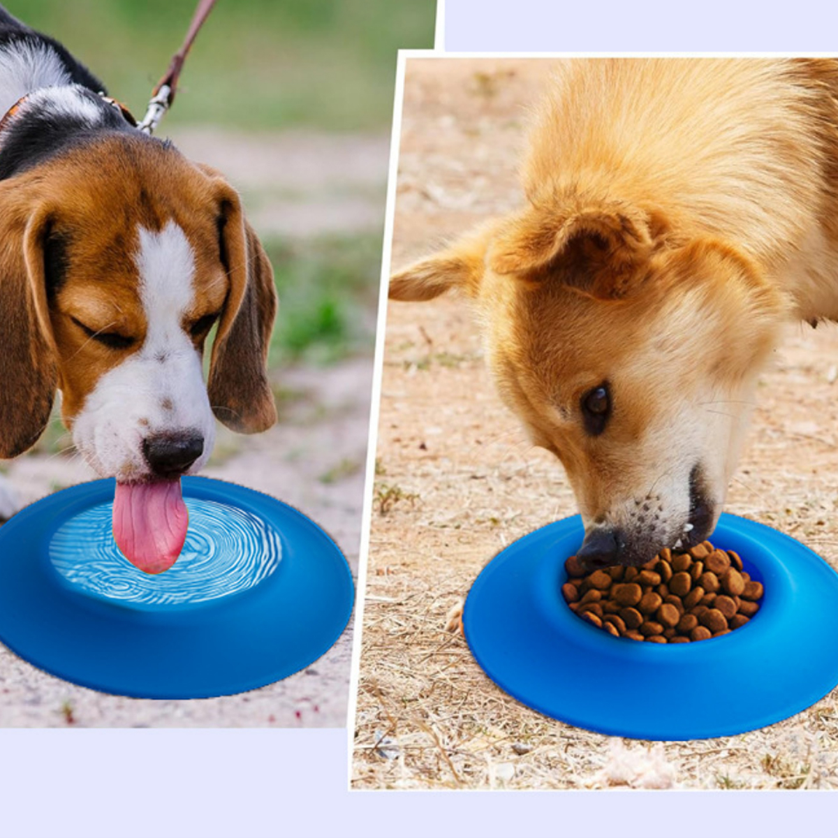 Silicone Pet Flying Disc Bowl with Custom Logo 8