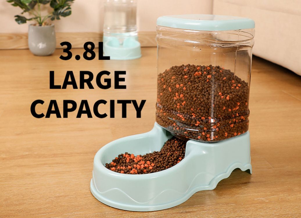 Pet Feeder 6