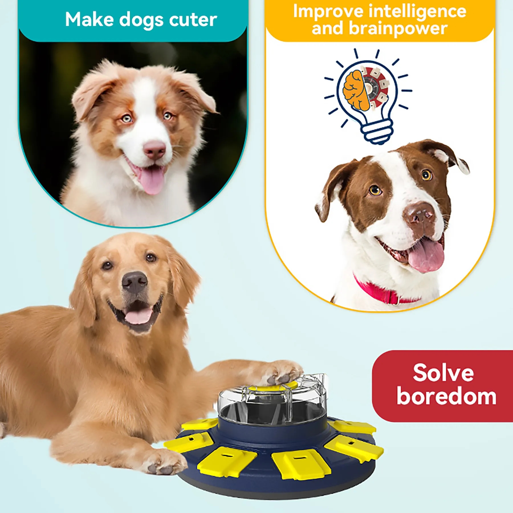 Plastic Dog Spinning Slow Food Device 4