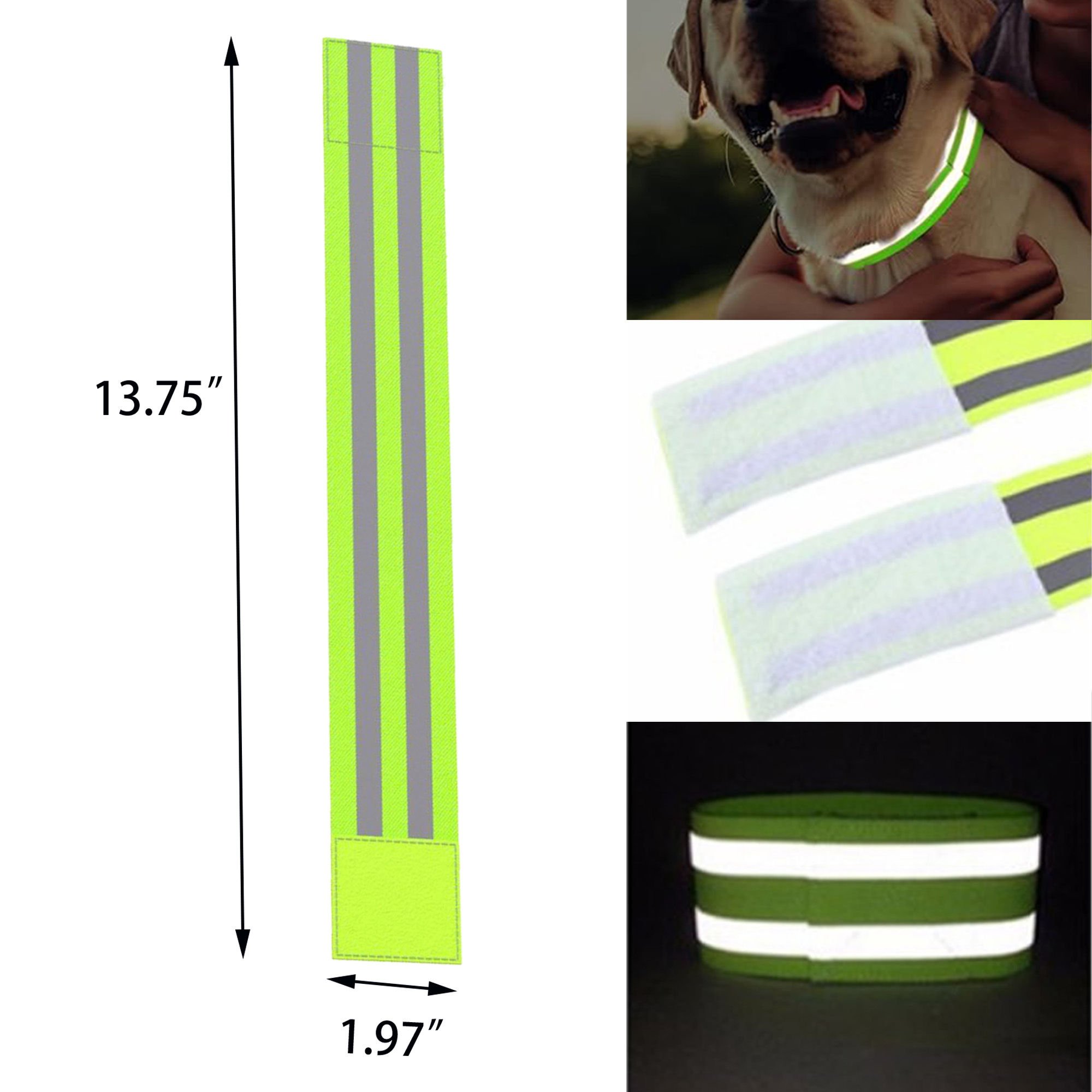 MOQ 50 Strap for Night Cycling 3