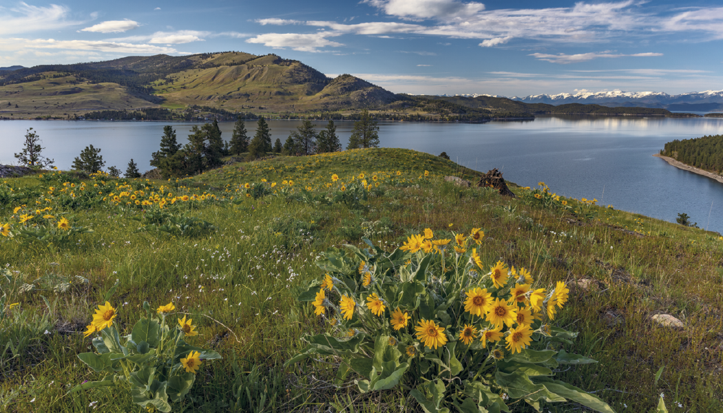 Triumph® Calendars American Splendor with Date Blocks Calendar 30