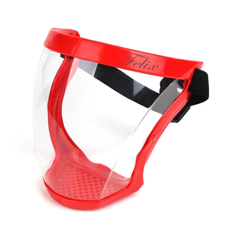 Face Shield 3