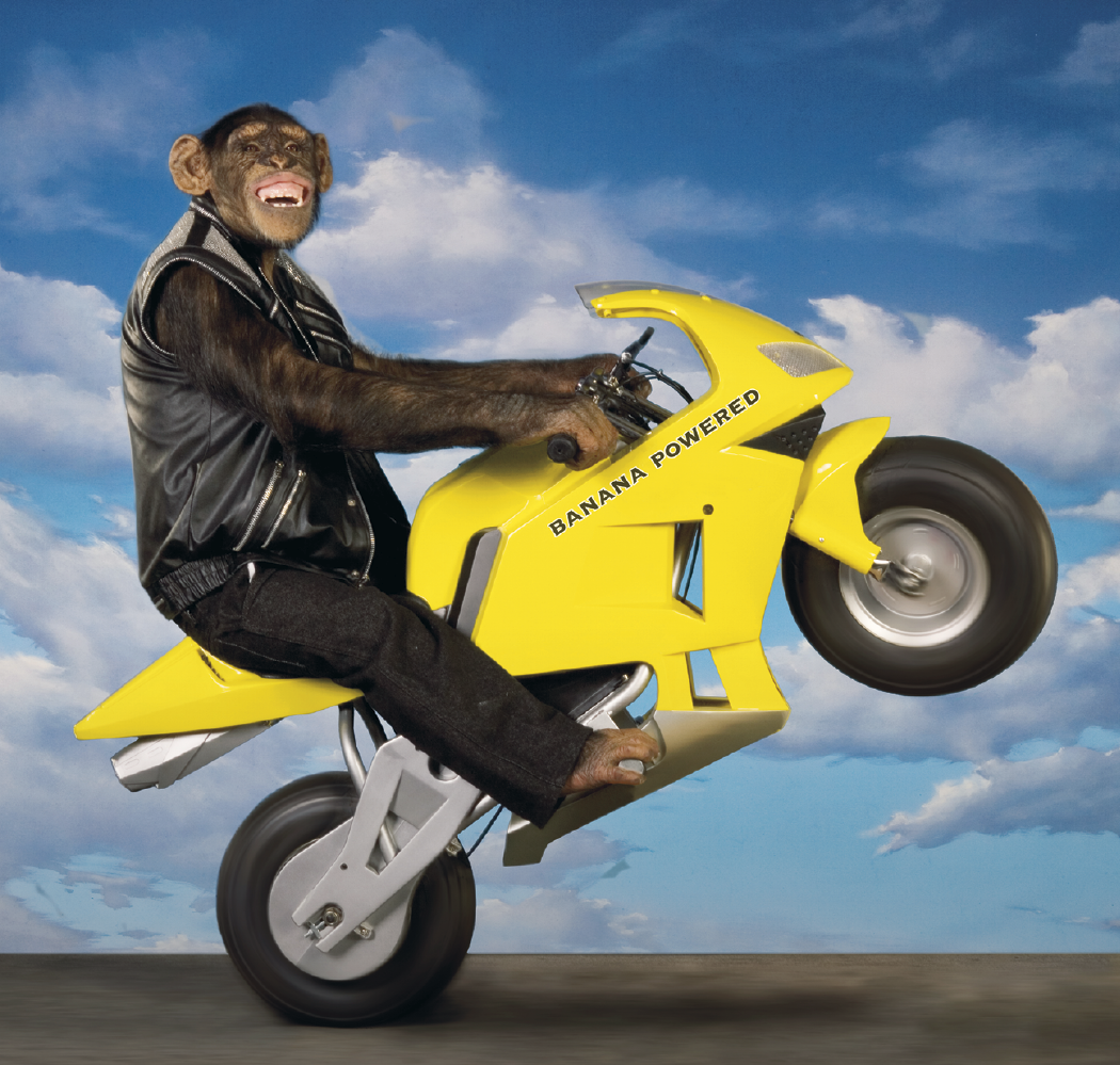 Triumph® Calendars Monkey Business Calendar 36