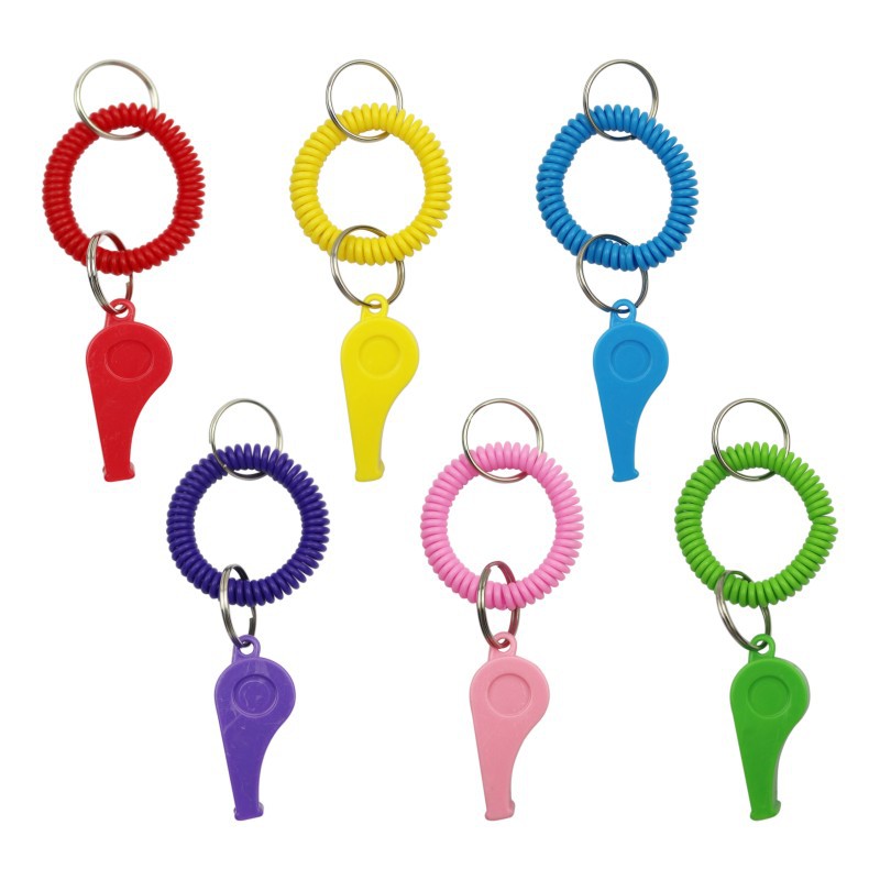 Whistle With Coil 2