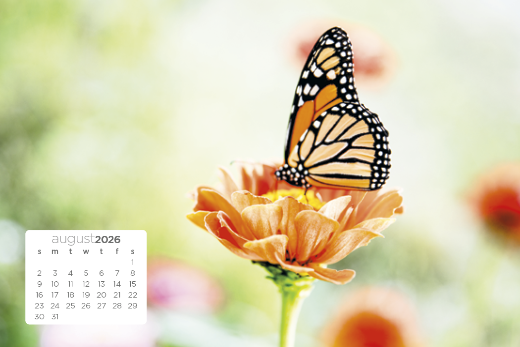 Triumph® Calendars Simplicity Large Desk Calendar 6