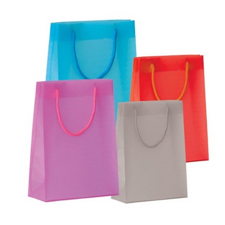 PP Shopping Hand Bag 2