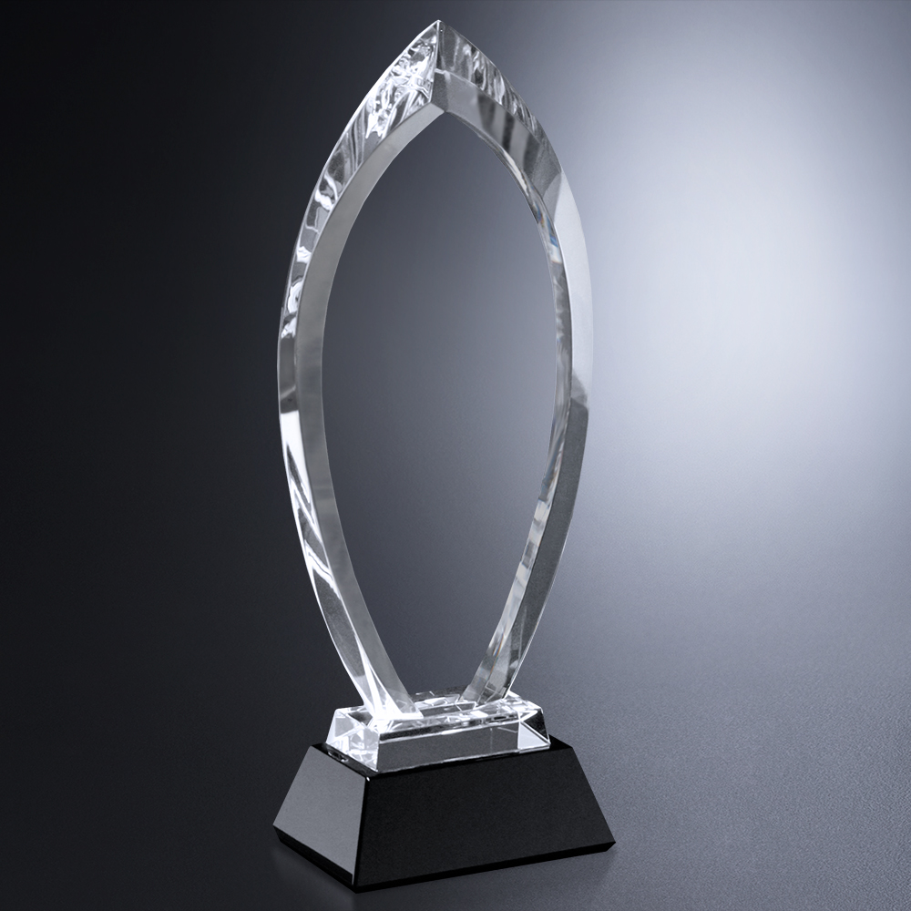 Majestic Award 6
