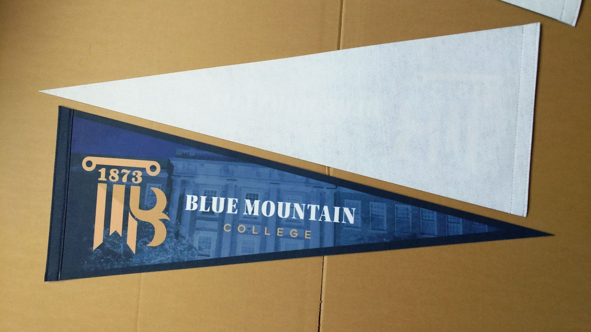 Felt Pennant 1