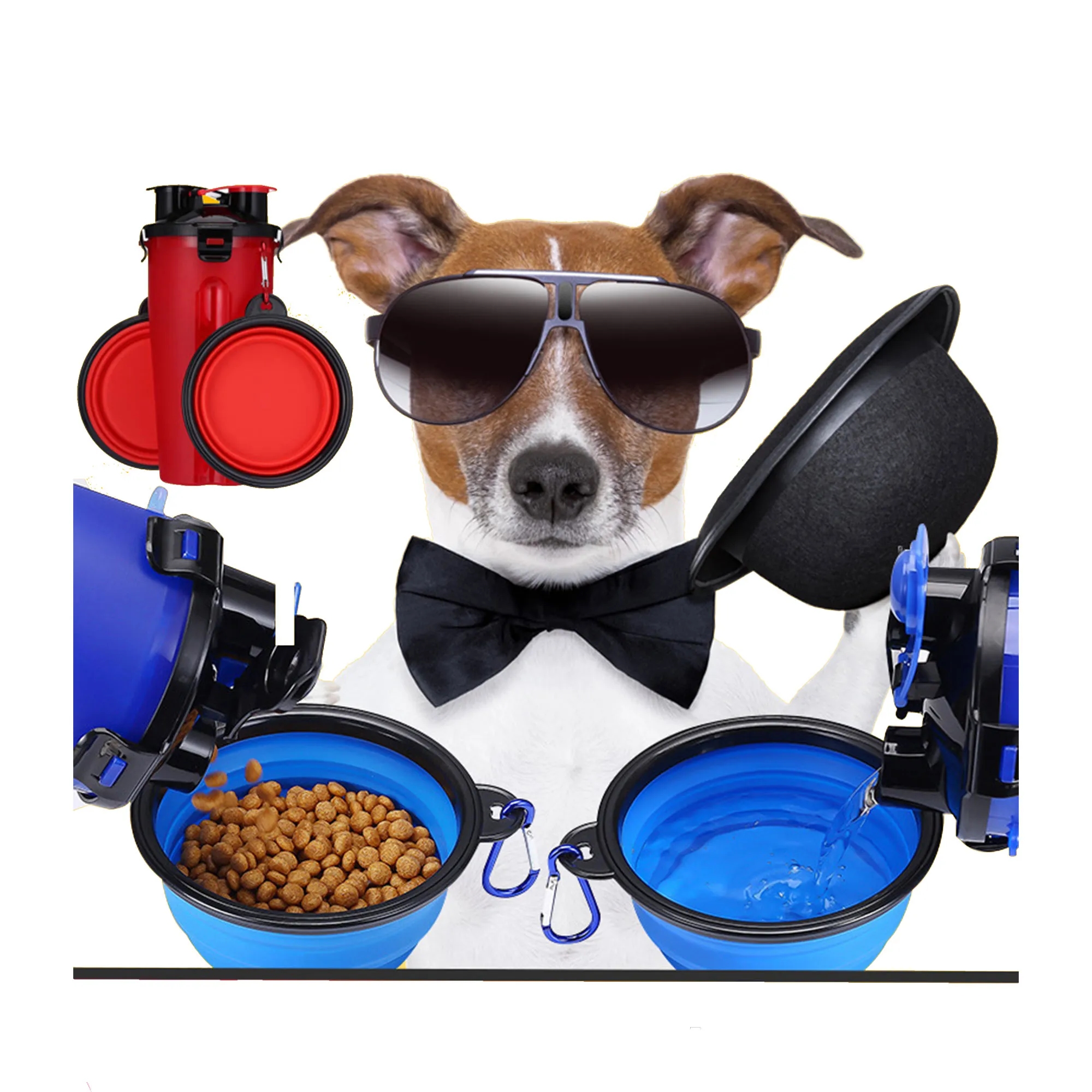 Outdoor Collapsible Dog Bowls 2