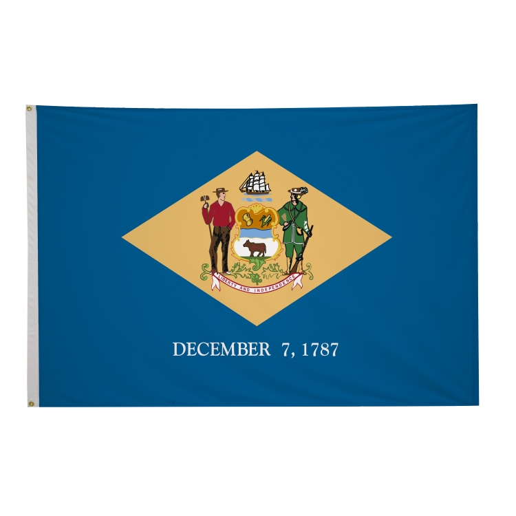 4' x 6' State Flags 5