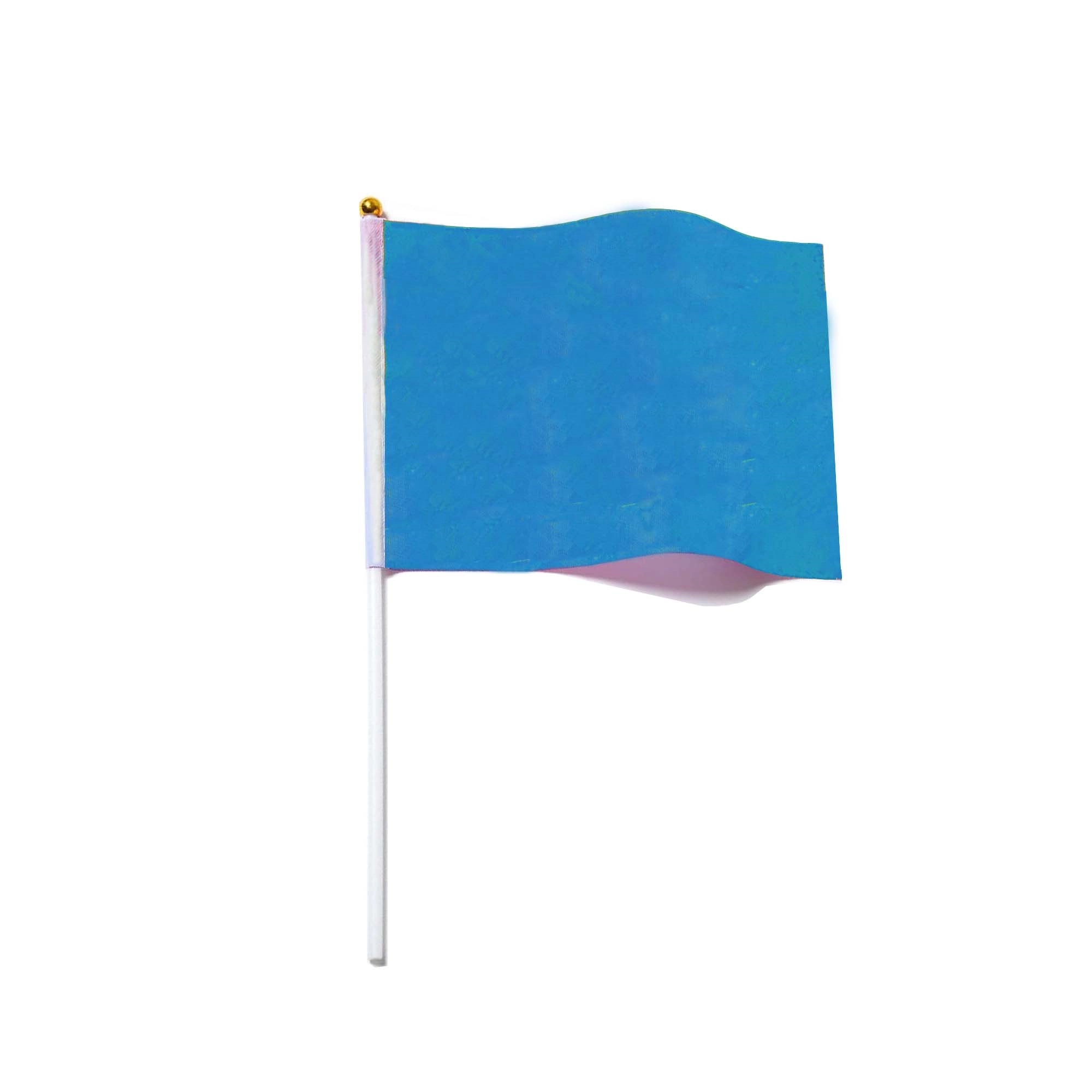 Hand Held Custom Party Flags 2