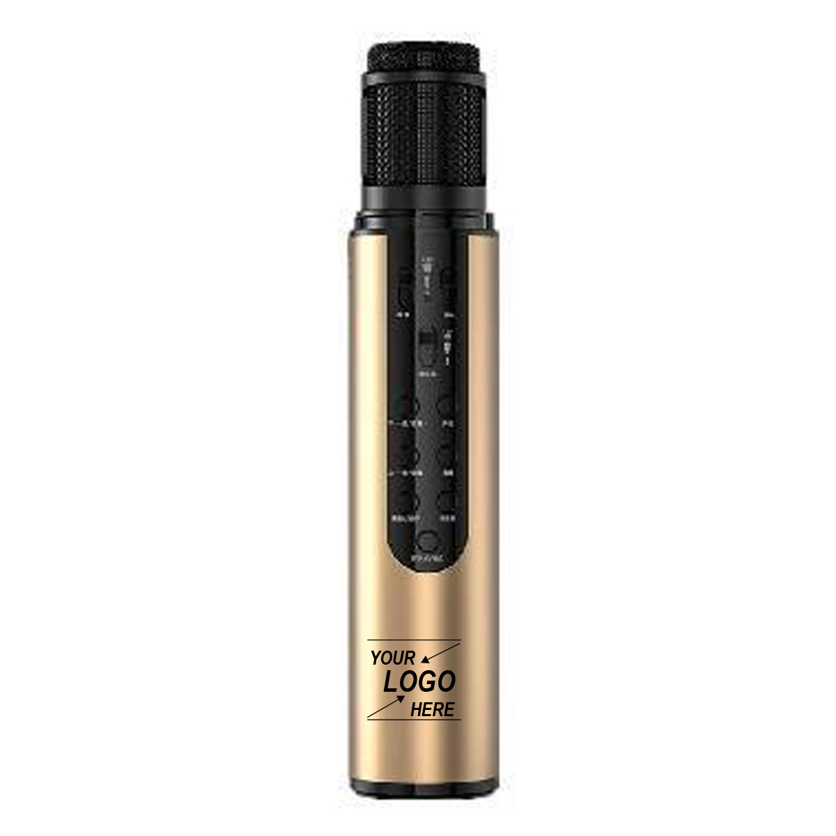 Wireless Karaoke Microphone with Speaker System