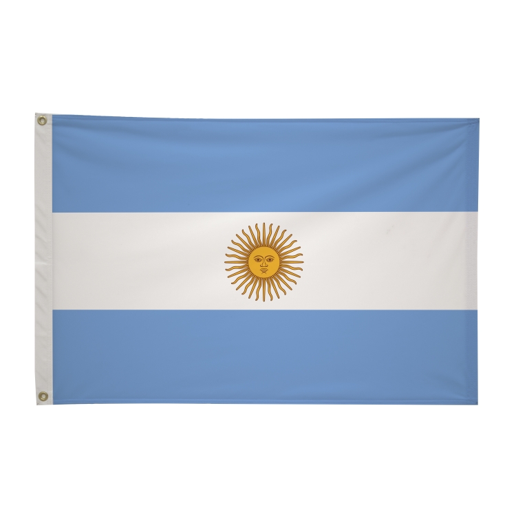 2' x 3'International Flag 286