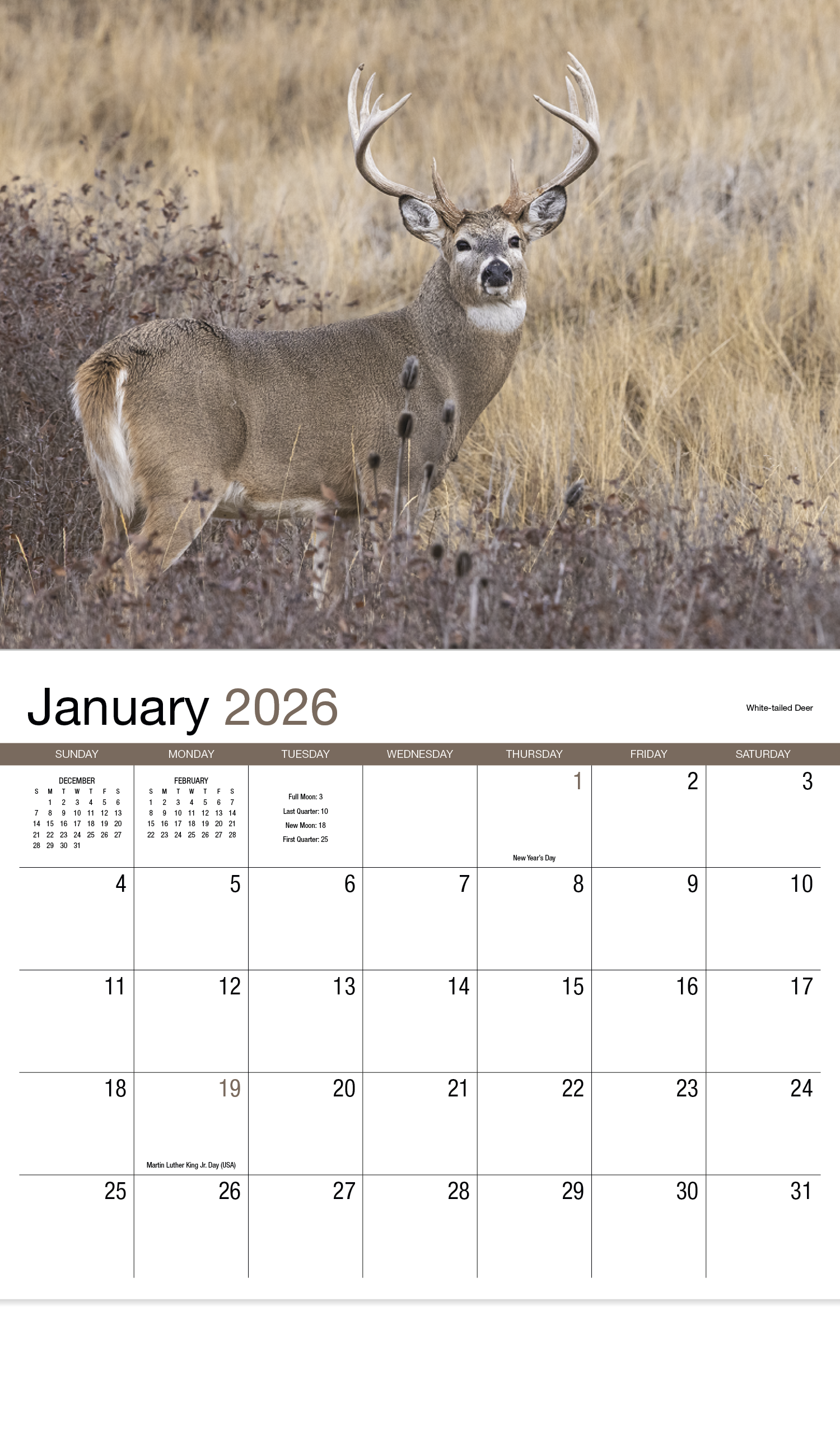 HotLine® Products Wildlife Appointment Calendar - Stapled 36