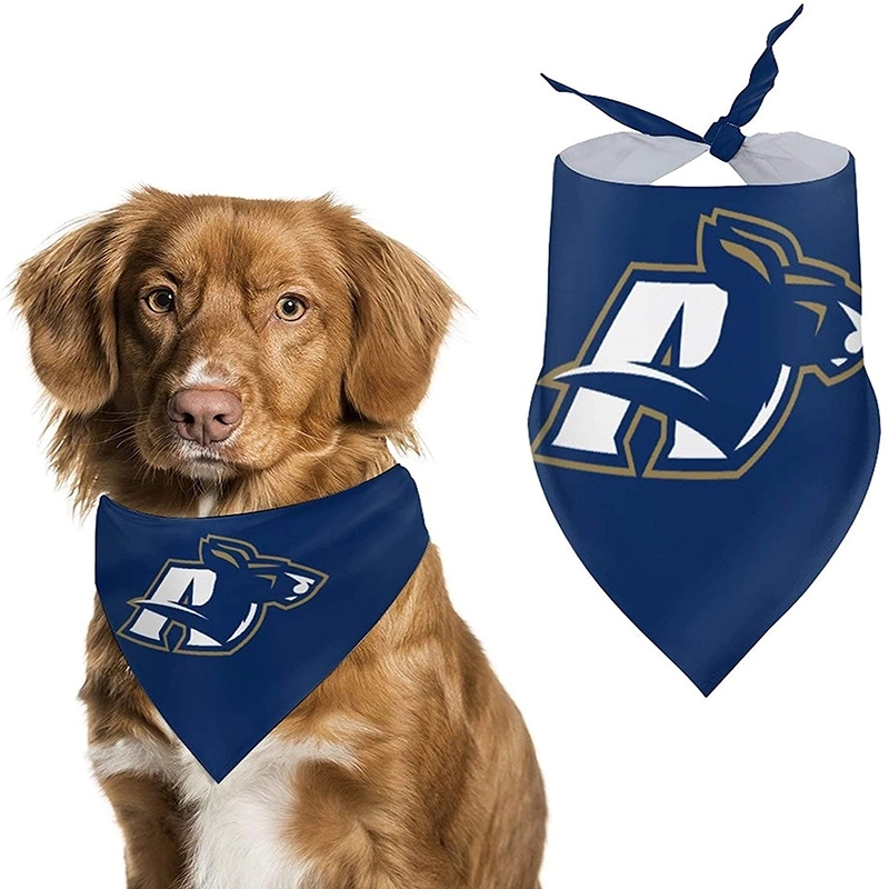 Personalized Dog Name Bandana 9