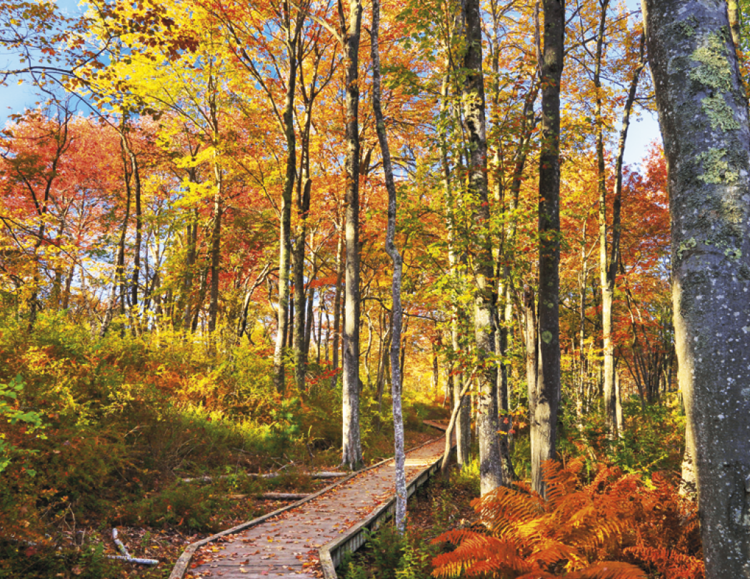 Triumph® Calendars Scenic Inspirations Calendar 54