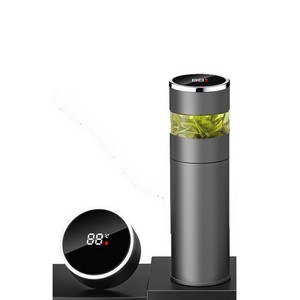 17Oz Stainless Smart Tea Thermos 14
