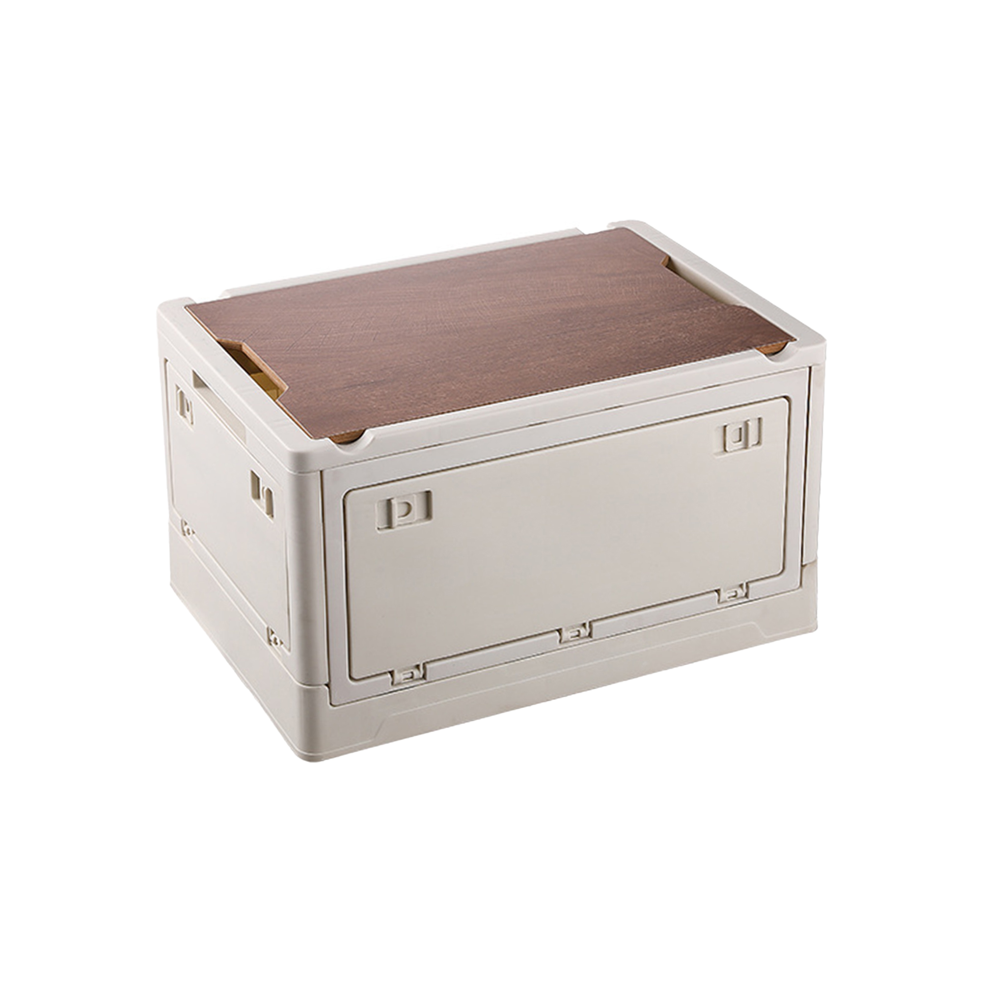 Plastic Trunk Storage Box 12
