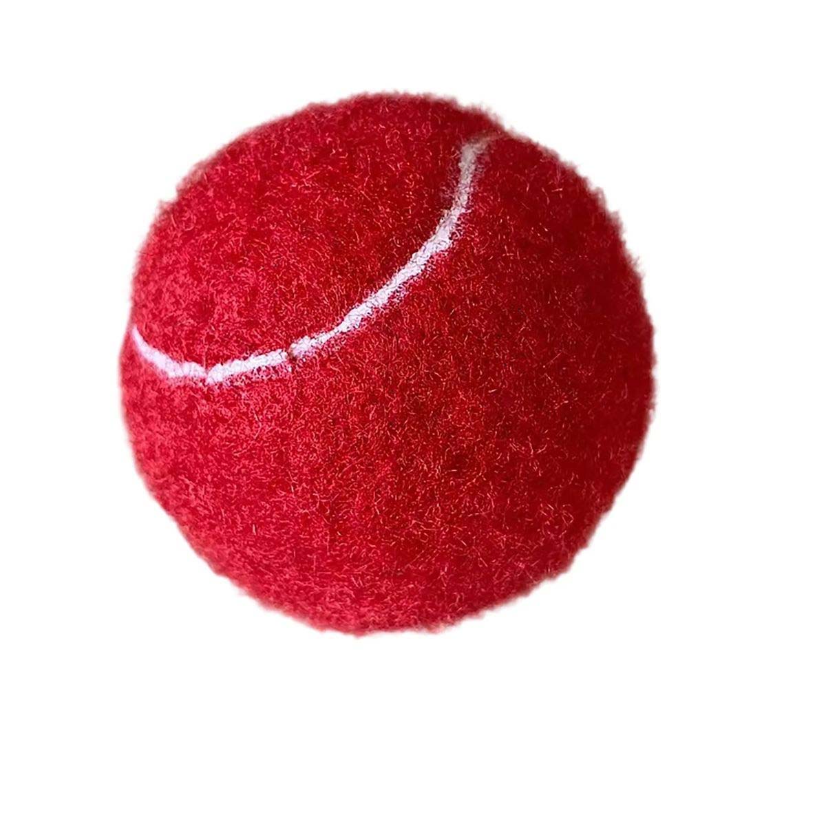 2.5 Inch Rubber Dog Ball for Training and Fetch 11