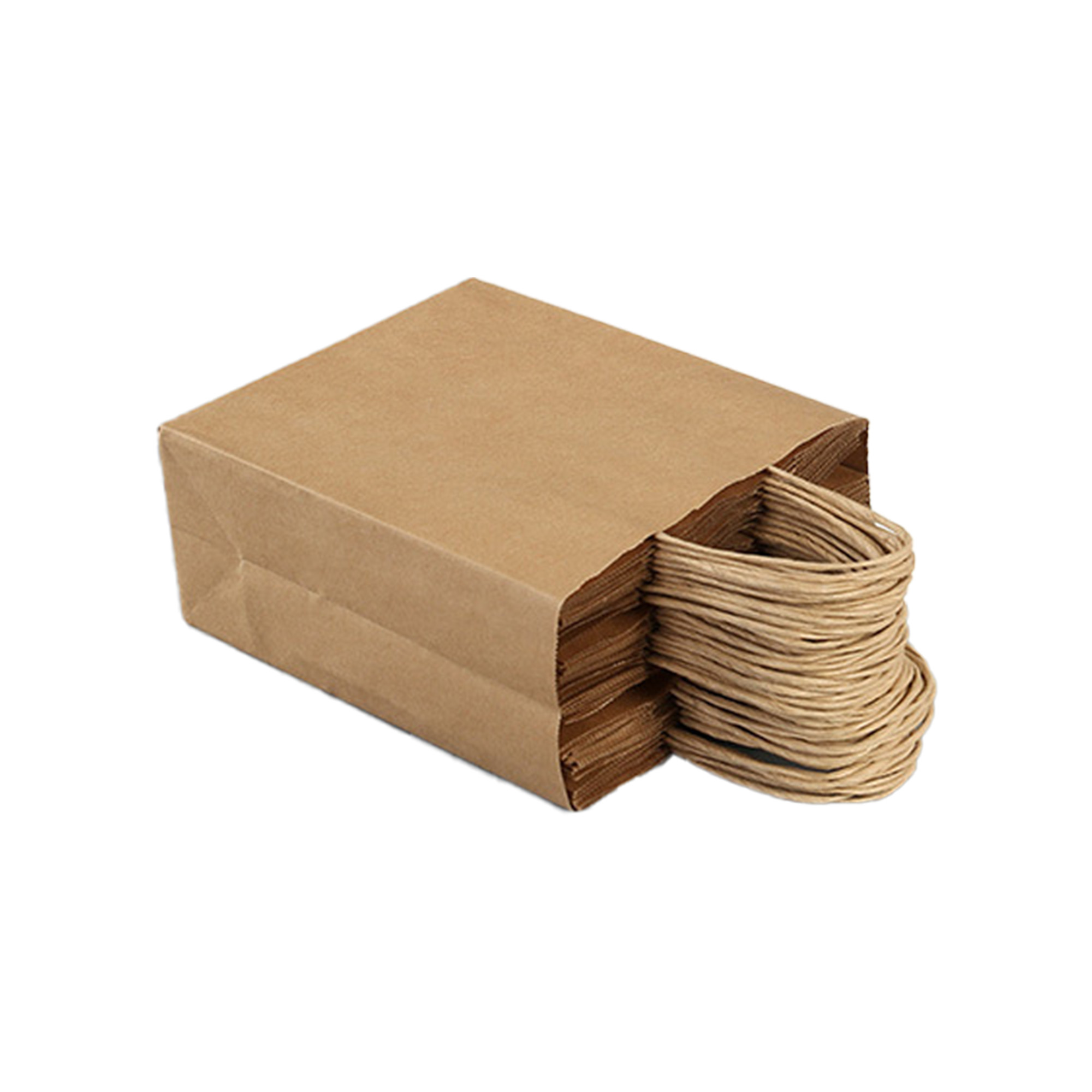 Kraft Paper Bag 5