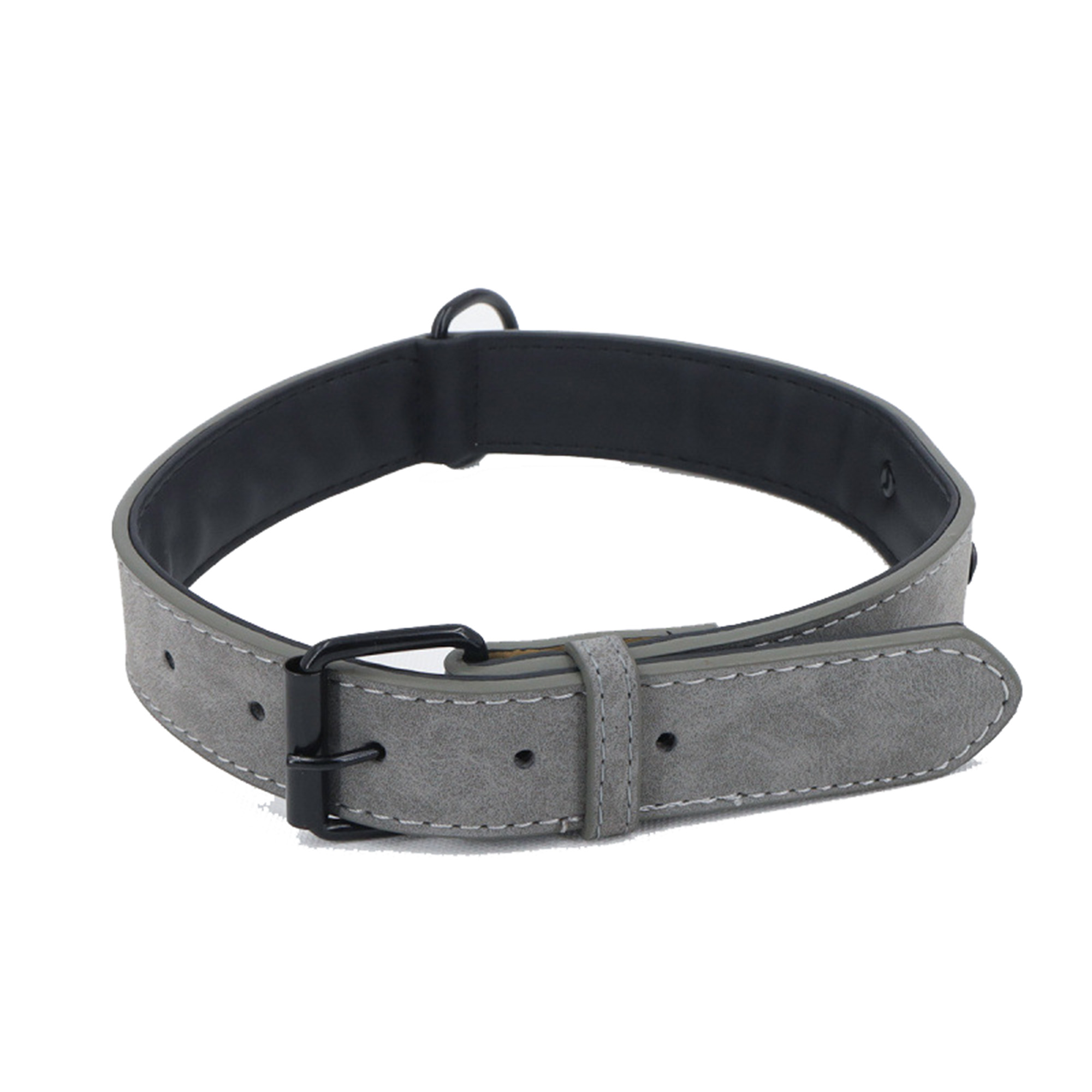 MOQ100 Pet Collar 10