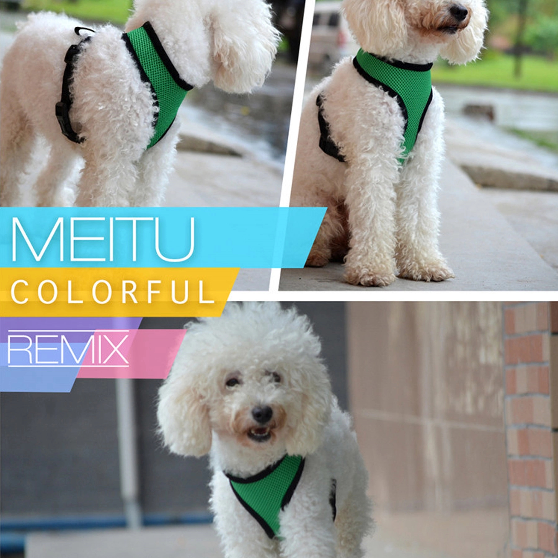 Breathable Mesh Dog Harness Vest for Puppies 2