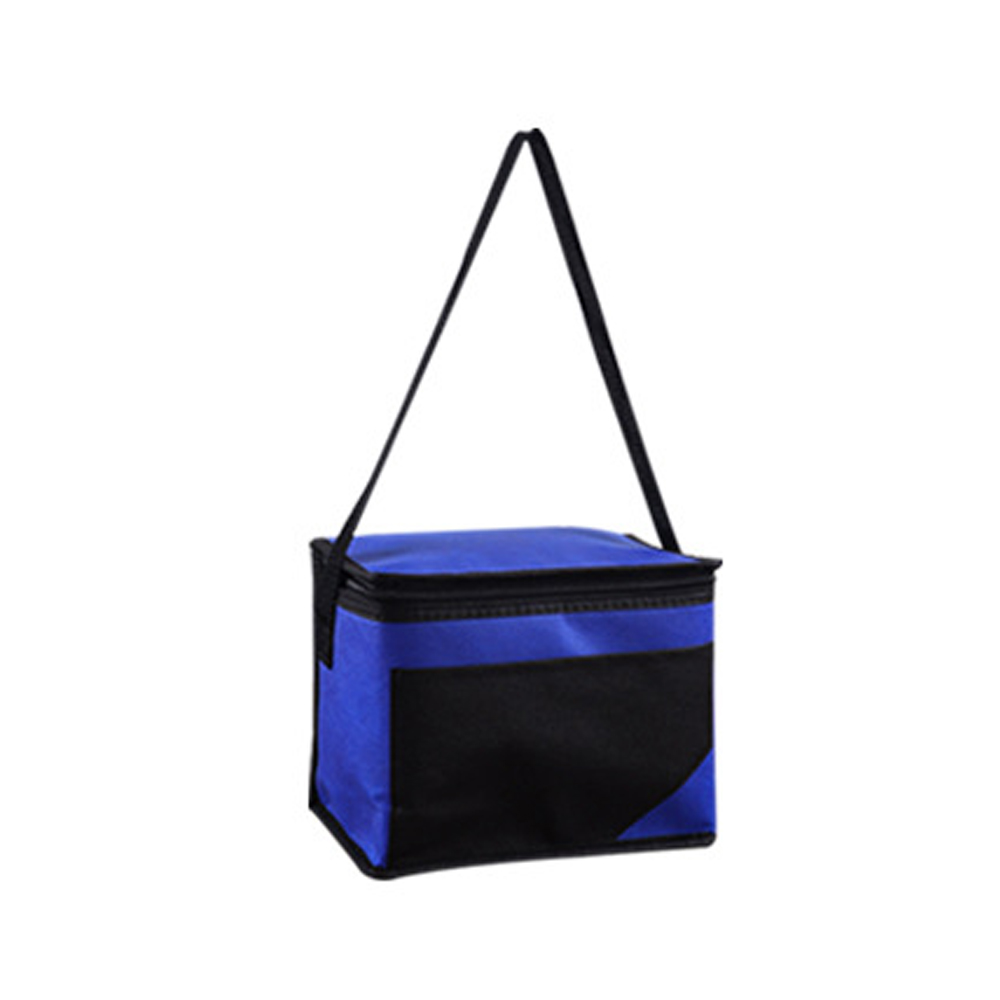 Reusable 6-Pack Cooler Bag 6