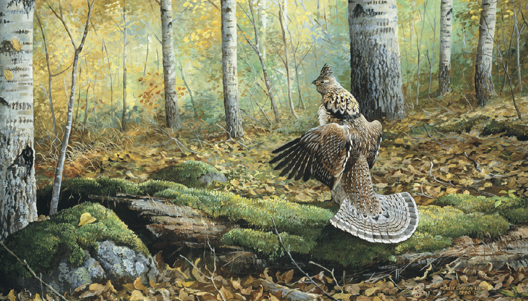 Triumph® Calendars Wildlife Art Calendar 22