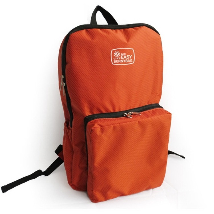 Folding Business Backpack 2